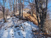 11 IMMAGINI INVERNALI DEL BOSCO